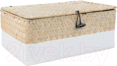 Коробка для хранения AksHome Dilon 30x20x12 - фото