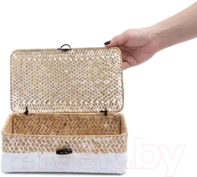 Коробка для хранения AksHome Dilon 30x20x12