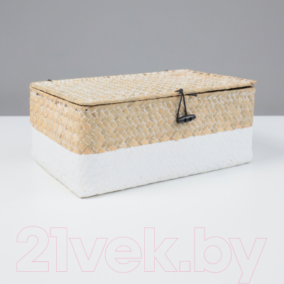 Коробка для хранения AksHome Dilon 30x20x12