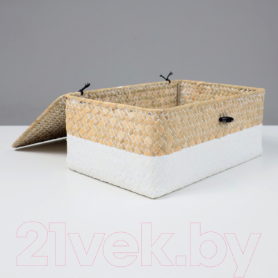 Коробка для хранения AksHome Dilon 30x20x12