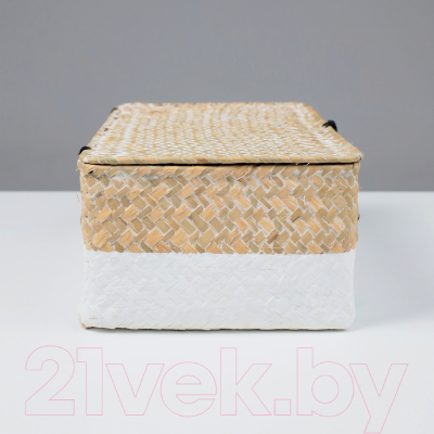 Коробка для хранения AksHome Dilon 30x20x12