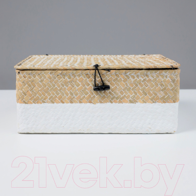 Коробка для хранения AksHome Dilon 30x20x12