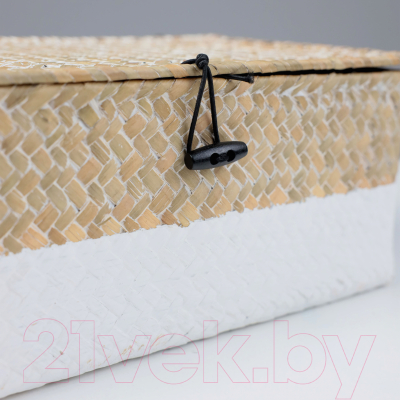 Коробка для хранения AksHome Dilon 30x20x12