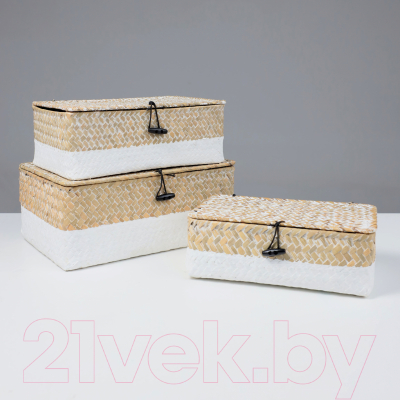 Коробка для хранения AksHome Dilon 30x20x12