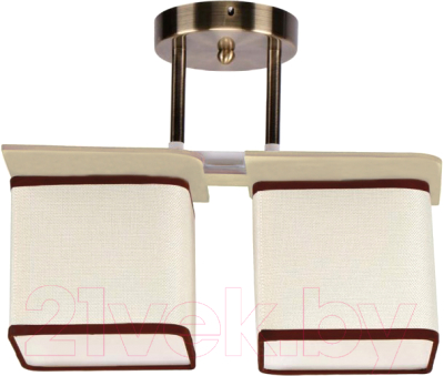 Потолочный светильник Aitin-Pro НПБ 02-2x60-101 / 2489/2 - фото