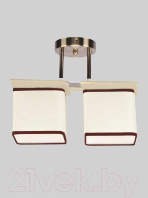 Потолочный светильник Aitin-Pro НПБ 02-2x60-101 / 2489/2