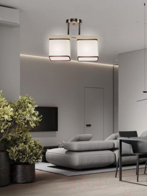 Потолочный светильник Aitin-Pro НПБ 02-2x60-101 / 2489/2