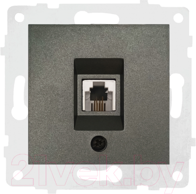 Розетка Ovivo 600-000311-221 - фото