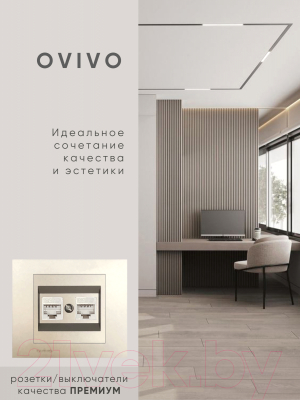 Розетка Ovivo 600-000313-230