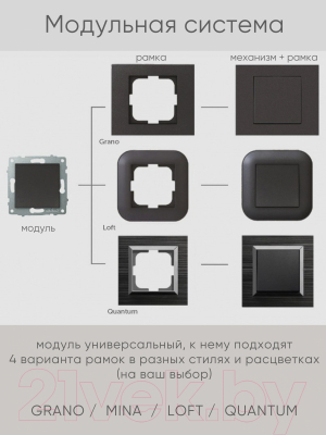 Розетка Ovivo 600-000313-230