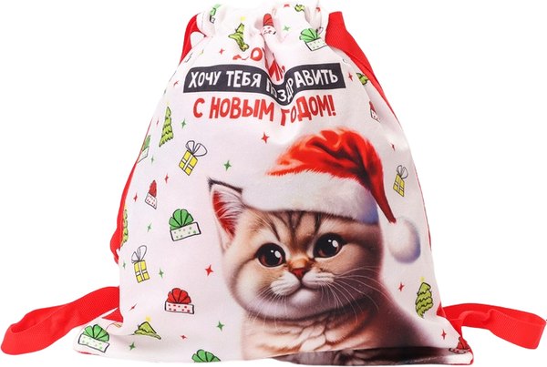 Мешок для обуви Milo Toys Котик в шапке / 10364444 - фото