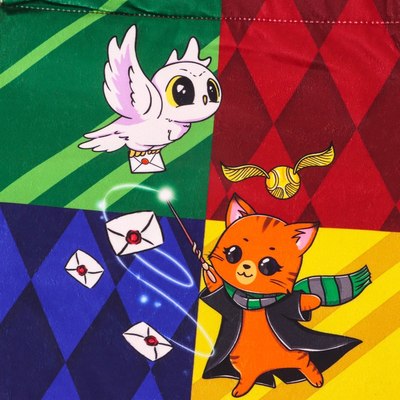 Мешок для обуви Milo Toys Волшебство / 10099454