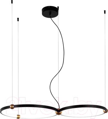 Потолочный светильник FAVOURITE 4569-2P - фото