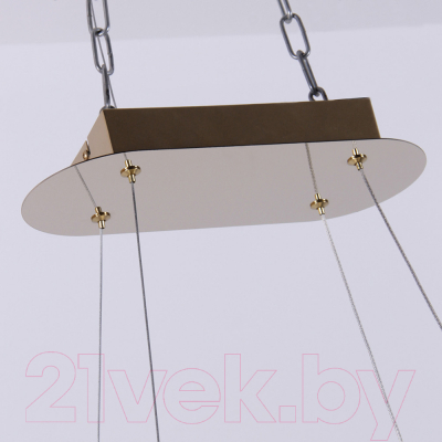 Потолочный светильник FAVOURITE 4590-10P