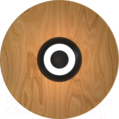 Светильник FAVOURITE 4288-1W - фото