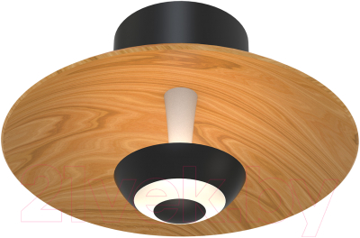 Светильник FAVOURITE 4288-1W