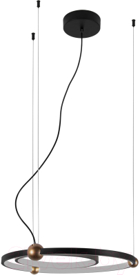 Потолочный светильник FAVOURITE 4569-1P - фото