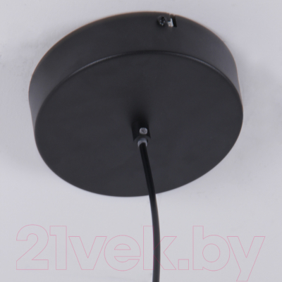 Потолочный светильник FAVOURITE 4569-1P