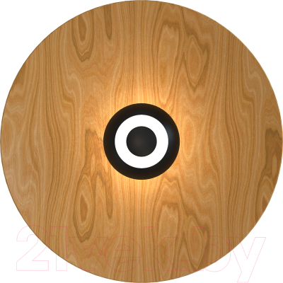 Светильник FAVOURITE 4290-1W - фото