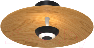 Светильник FAVOURITE 4290-1W