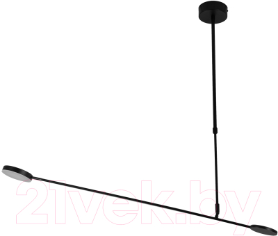 Потолочный светильник FAVOURITE 4572-1C - фото