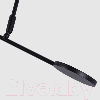 Потолочный светильник FAVOURITE 4572-1C