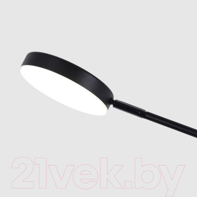 Потолочный светильник FAVOURITE 4572-1C