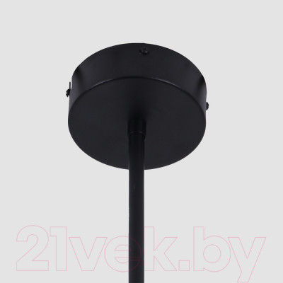 Потолочный светильник FAVOURITE 4572-1C