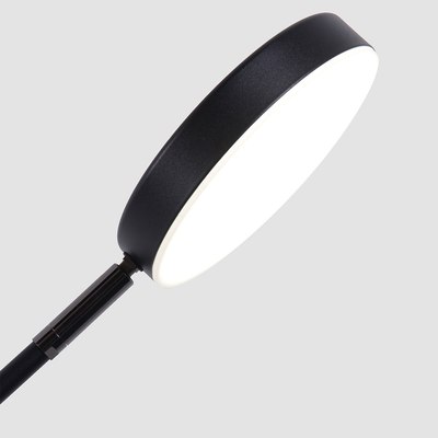 Настольная лампа FAVOURITE 4572-1T