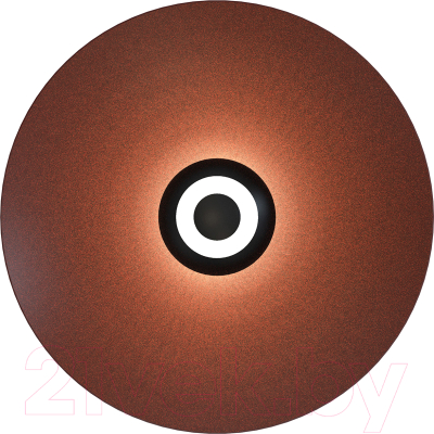 Светильник FAVOURITE 4289-1W - фото