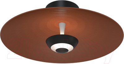 Светильник FAVOURITE 4289-1W