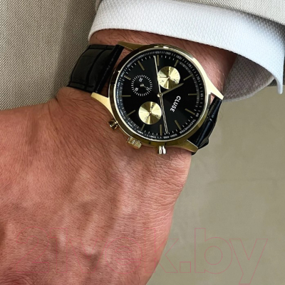 Часы наручные мужские Cluse CW21004