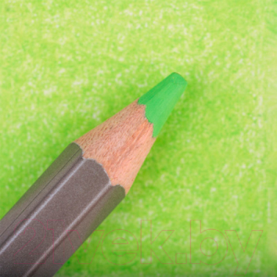 Набор цветных карандашей Малевичъ GrafArt Pro / 194040 - фото