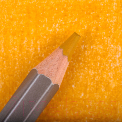 Набор цветных карандашей Малевичъ GrafArt Pro / 194105 - фото