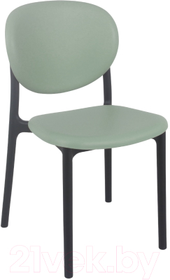 Стул пластиковый Sheffilton SHT-S180 - фото
