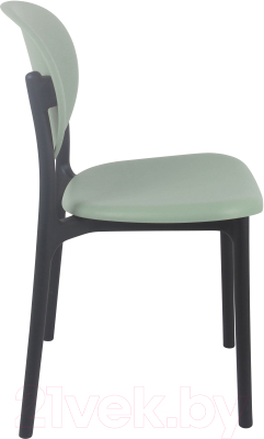 Стул пластиковый Sheffilton SHT-S180