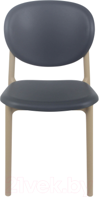 Стул пластиковый Sheffilton SHT-S180