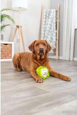 Игрушка для собак Trixie Свинка-капуста 35522