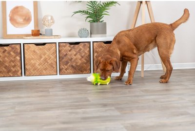 Игрушка для собак Trixie Свинка-капуста 35522