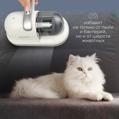 Портативный пылесос PLANTA PL-VCD01