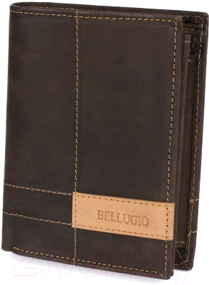Портмоне Bellugio ZM-116R-123 - фото