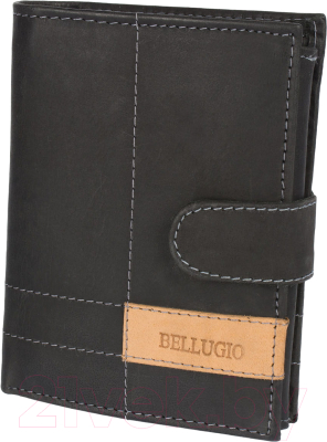 Портмоне Bellugio ZM-116R-123A - фото