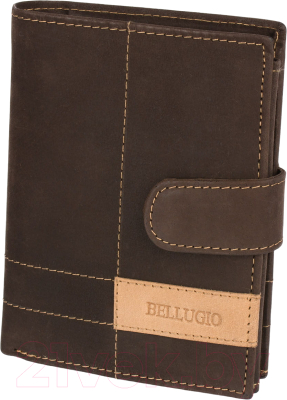 Портмоне Bellugio ZM-116R-123A - фото