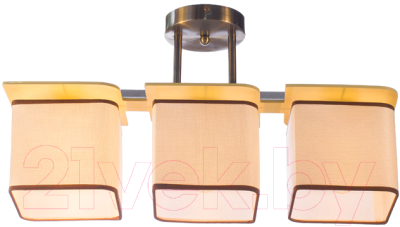 Люстра Aitin-Pro НПБ 02-3x60-101 / 2489/3 - фото