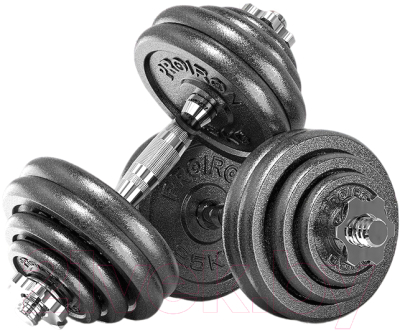 Набор гантелей разборных Proiron Г2150Ч - фото