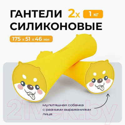 Набор гантелей Proiron Силиконовые / Г2010СИ