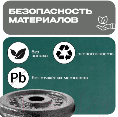 Набор дисков для штанги Proiron НЧД2100