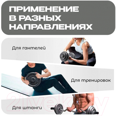 Набор дисков для штанги Proiron НЧД2100