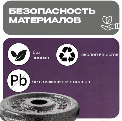 Набор дисков для штанги Proiron НЧД2500