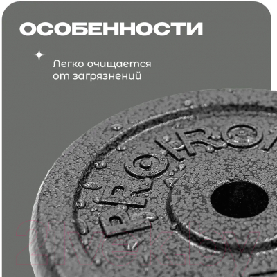 Набор дисков для штанги Proiron НЧД2500